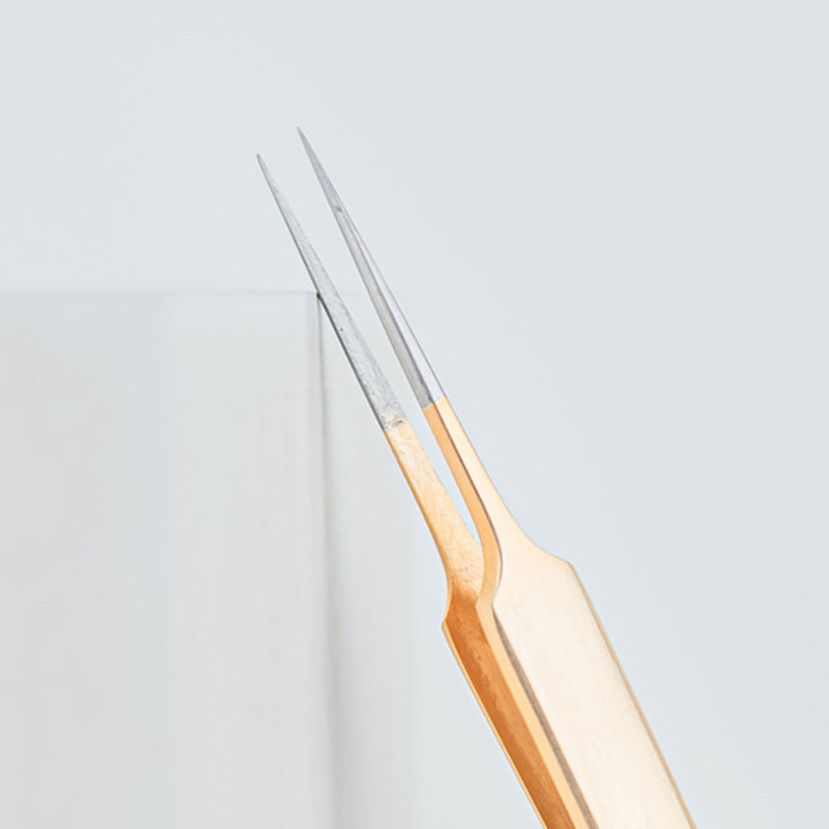 Precision Brow Tweezer - Pointer Tip